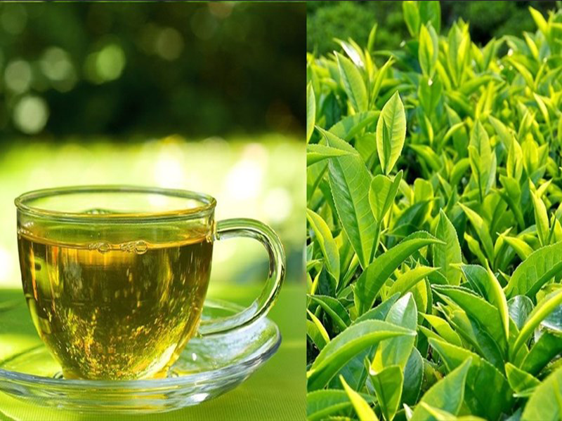 Tác dụng của trà xanh- Suất ăn công nghiệp Ngọc Mai